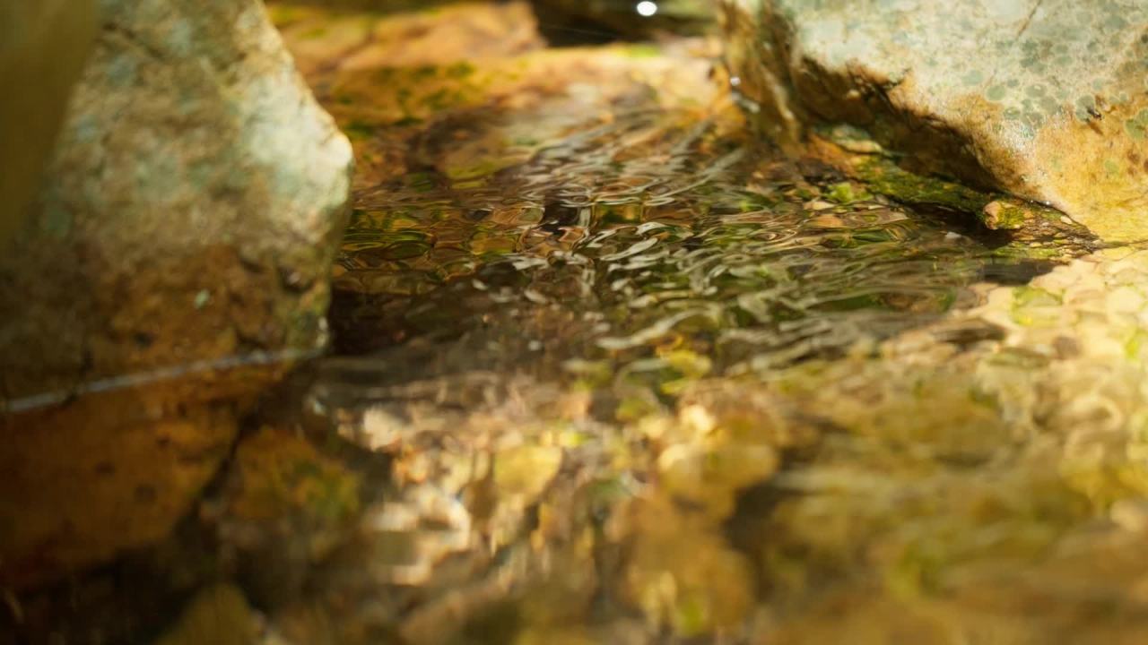 山泉水矿泉水潺潺小溪流水瀑布 47