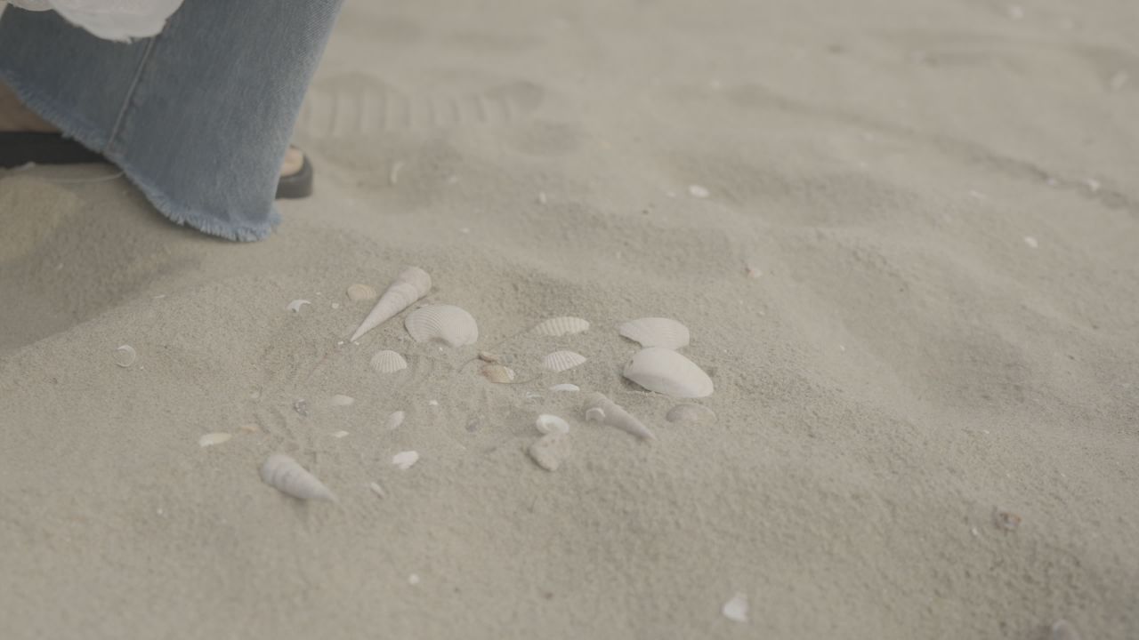 沙滩 12
