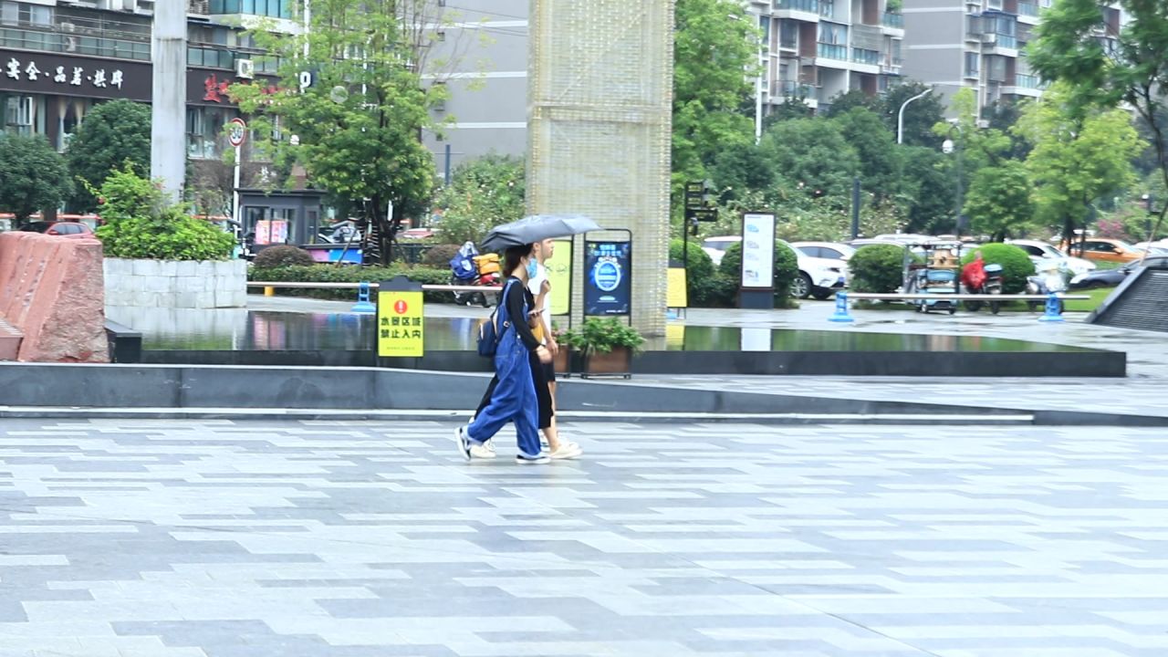 行走的人
