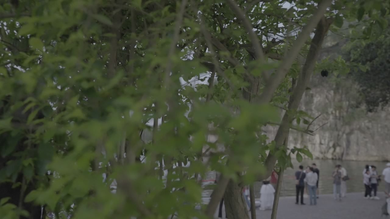 桂林 24
