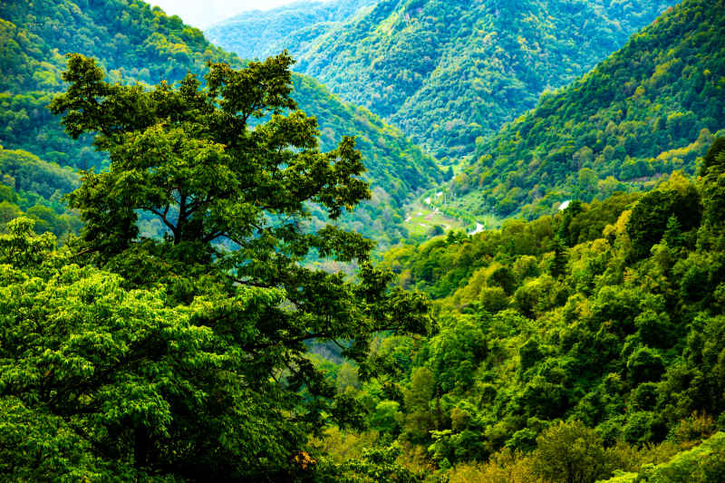 大山深处的美景 8