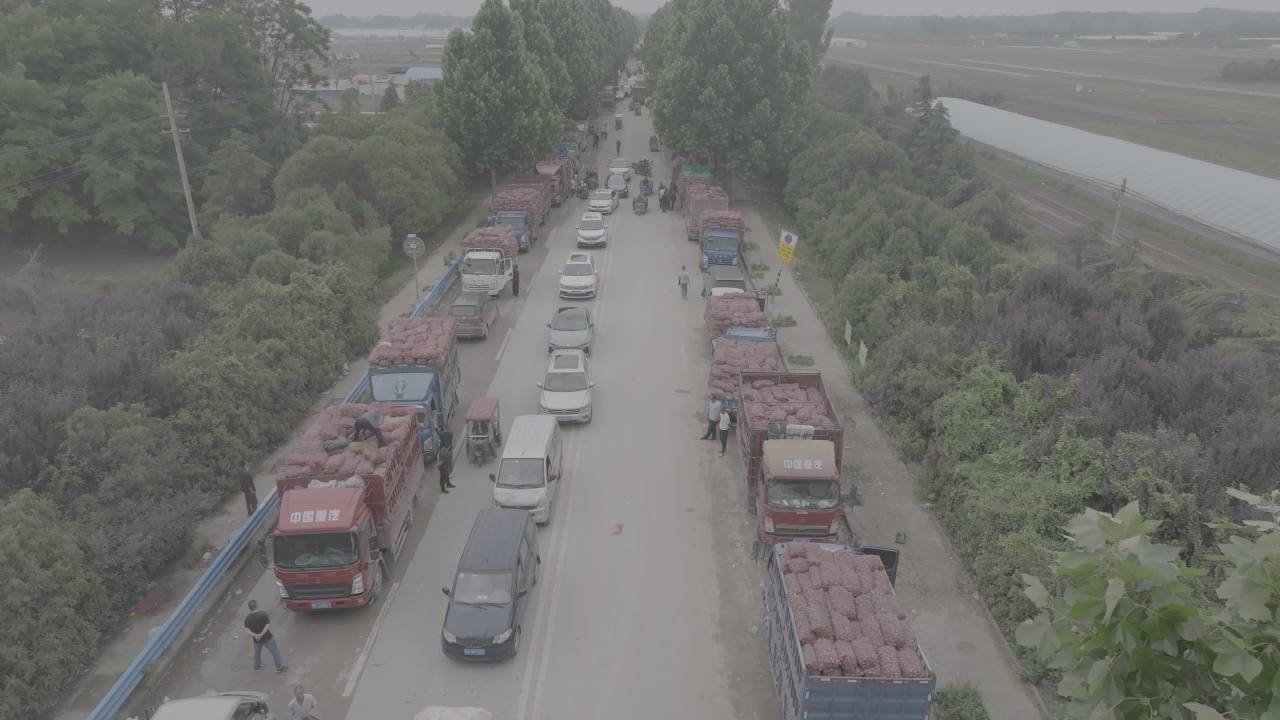 乡村公路的繁忙景象