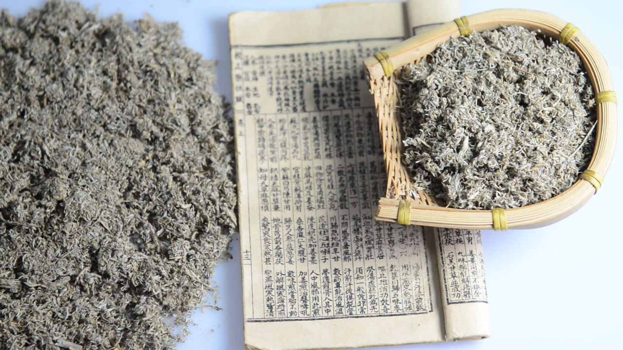 中药材茵陈 13
