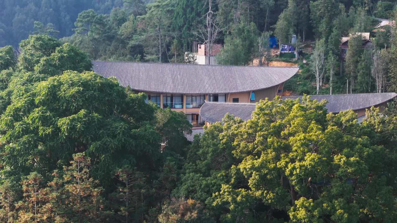 森林中的现代建筑