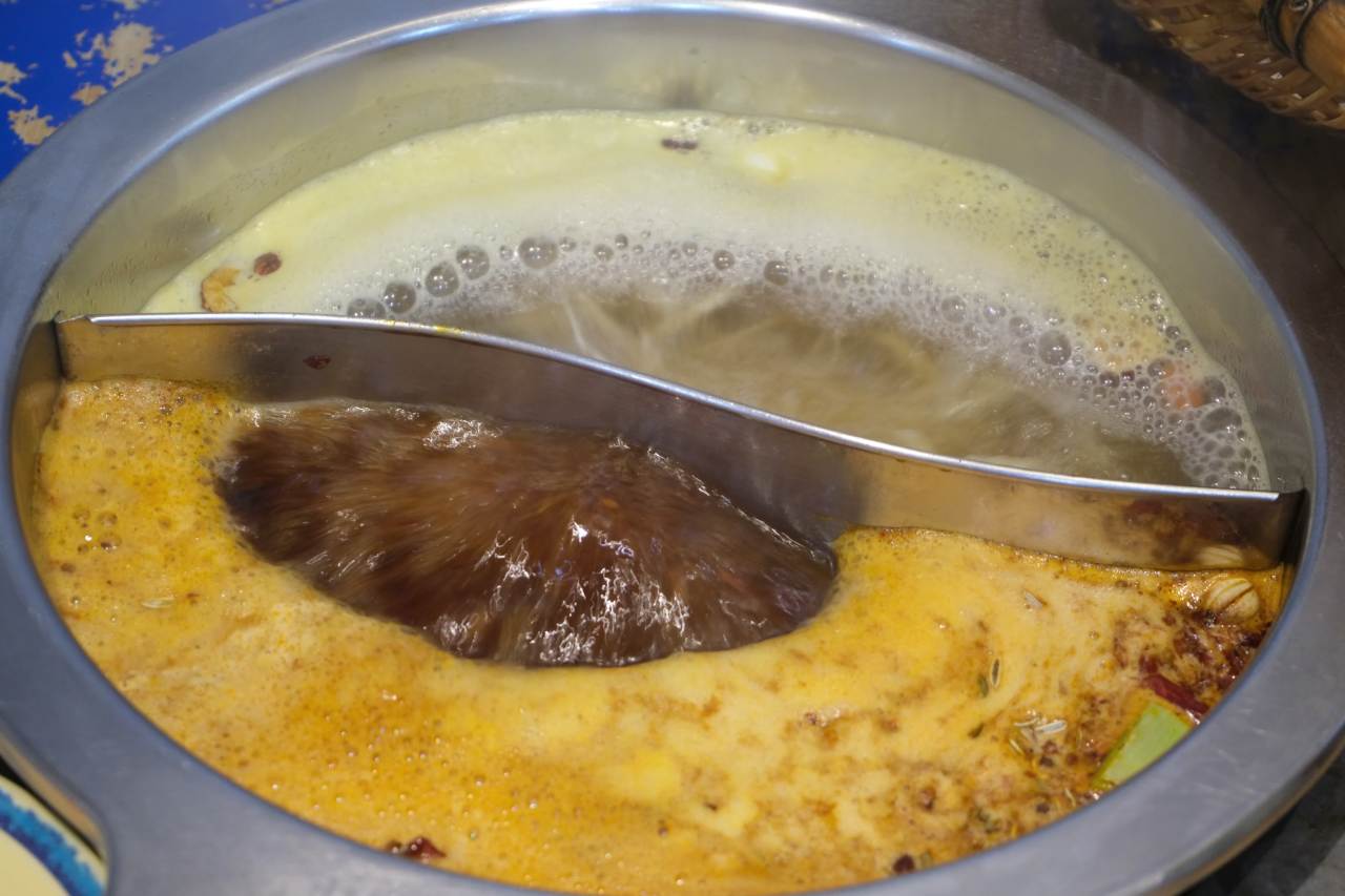 【实拍样片】富士X-S20相机实拍原片视频 7