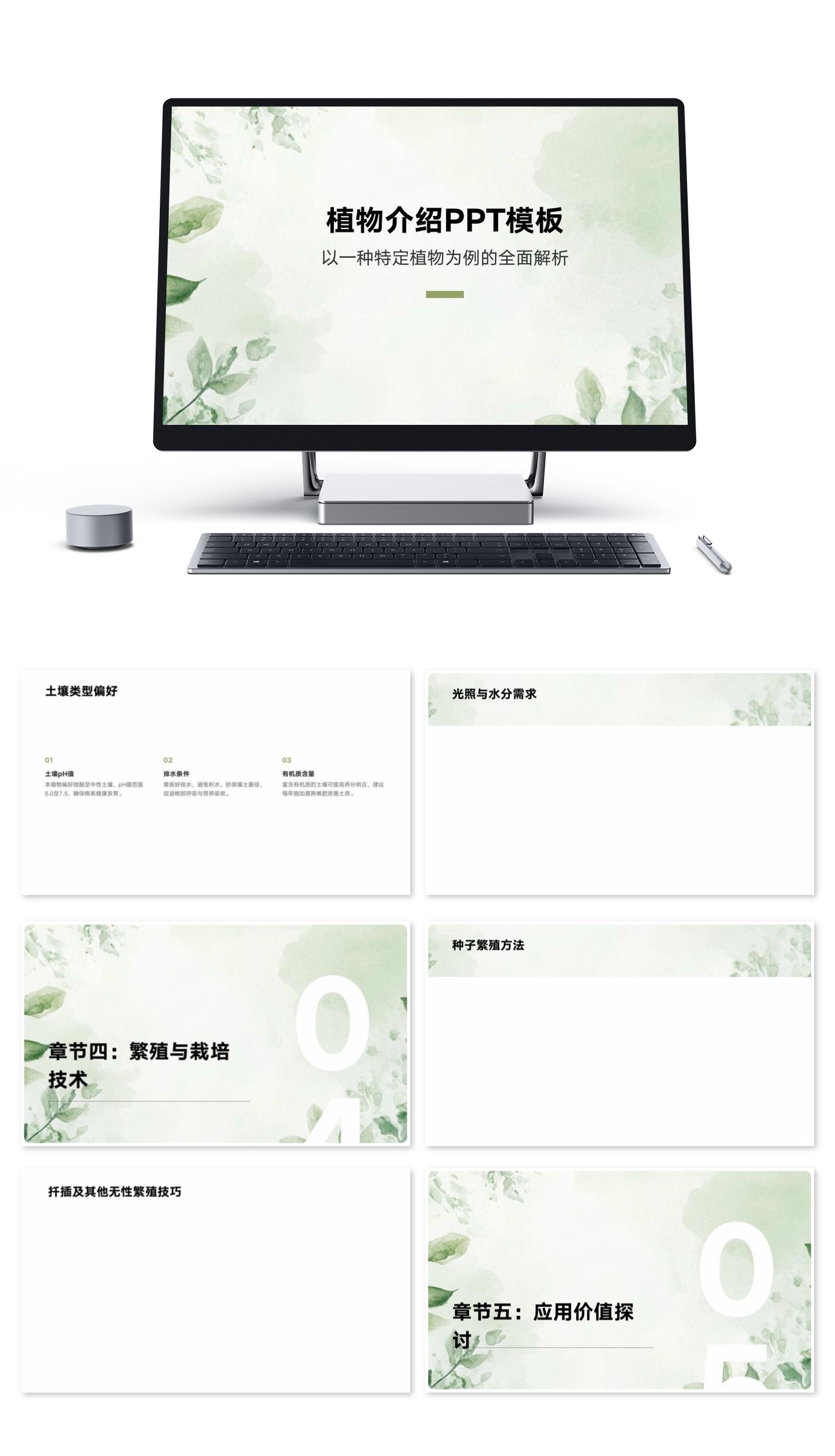 绿色简约植物介绍模版