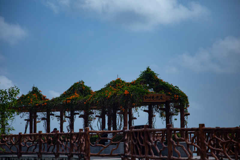 金沙湾