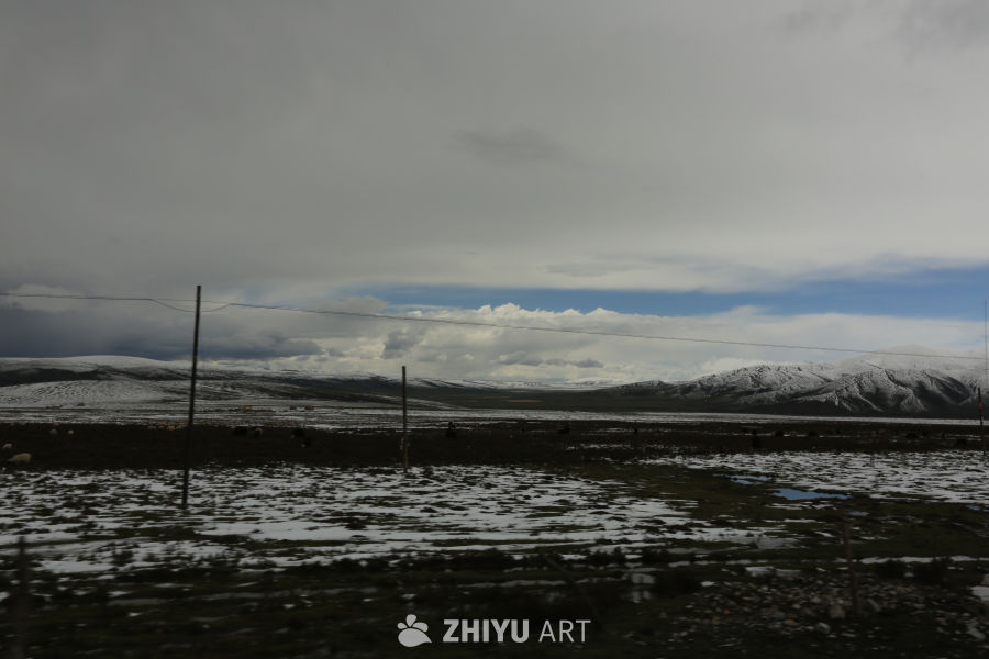 雪山下的宁静草原
