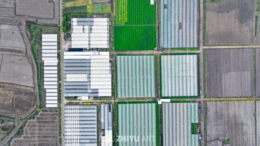  航拍农业大棚基地 农业产业乡村振兴 8