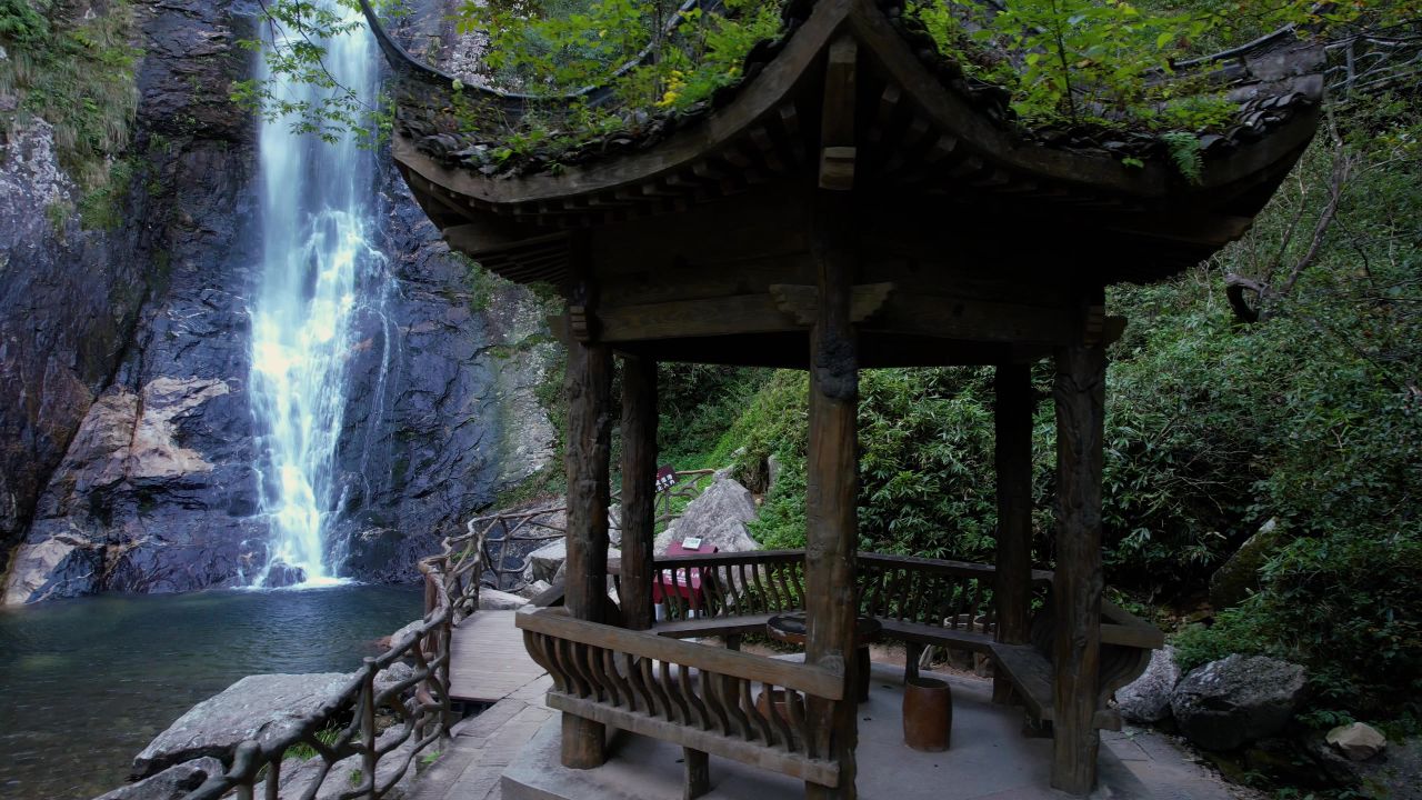 4K高山流水自然森林实拍树木