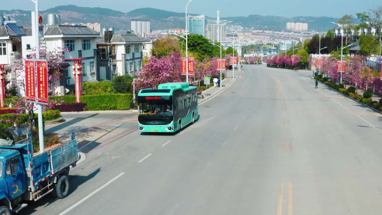 城市樱花大道上的公交之旅