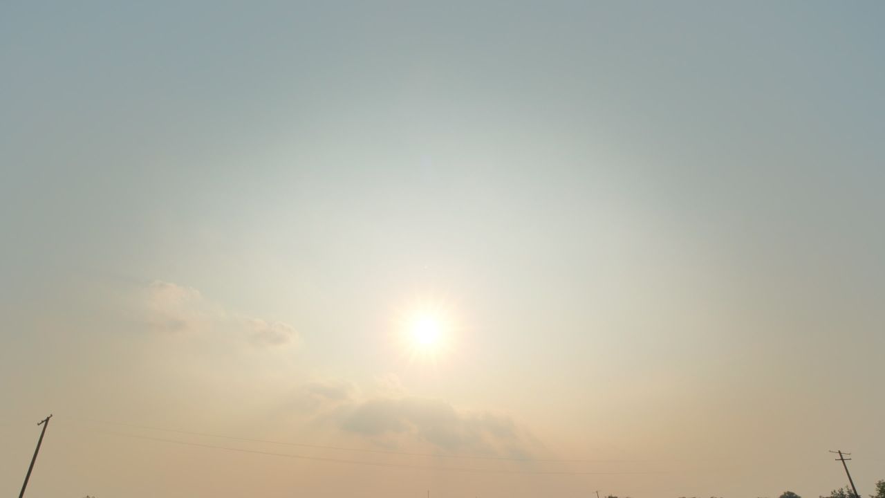 农村小麦田野麦穗麦芒 36