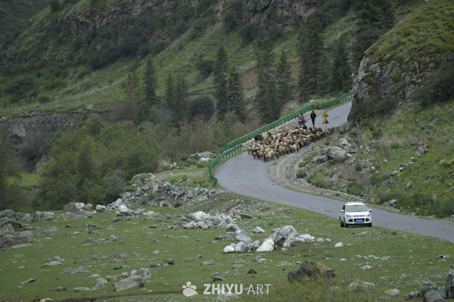 山间羊群与蜿蜒道路