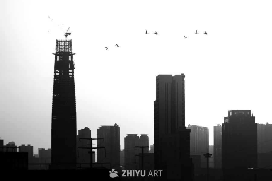 黑白城市