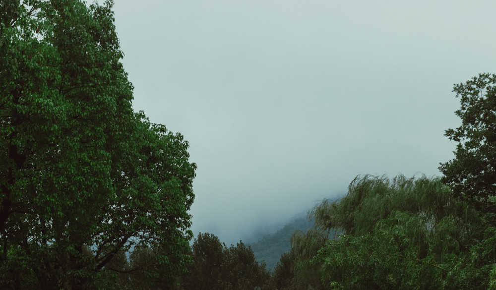 杂
