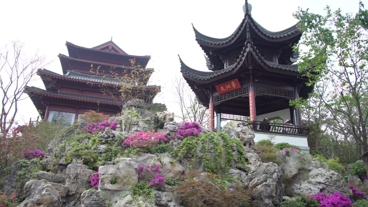 园林里的花花草草 20
