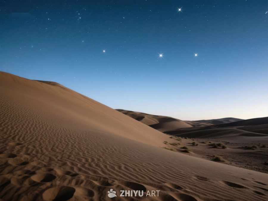 星空下的沙漠沙丘 210