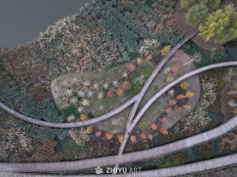 秋日湿地栈道