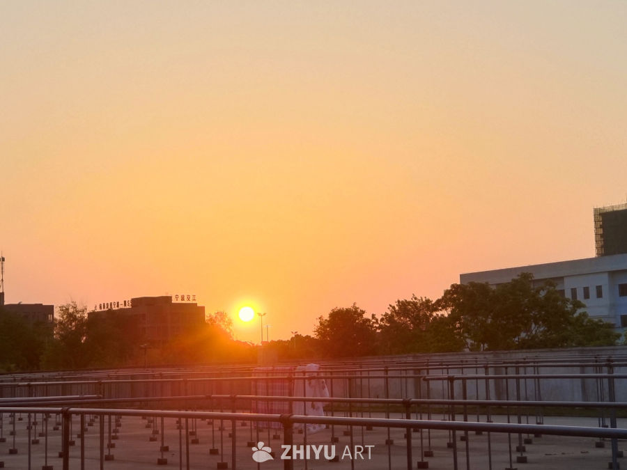 夕阳 7