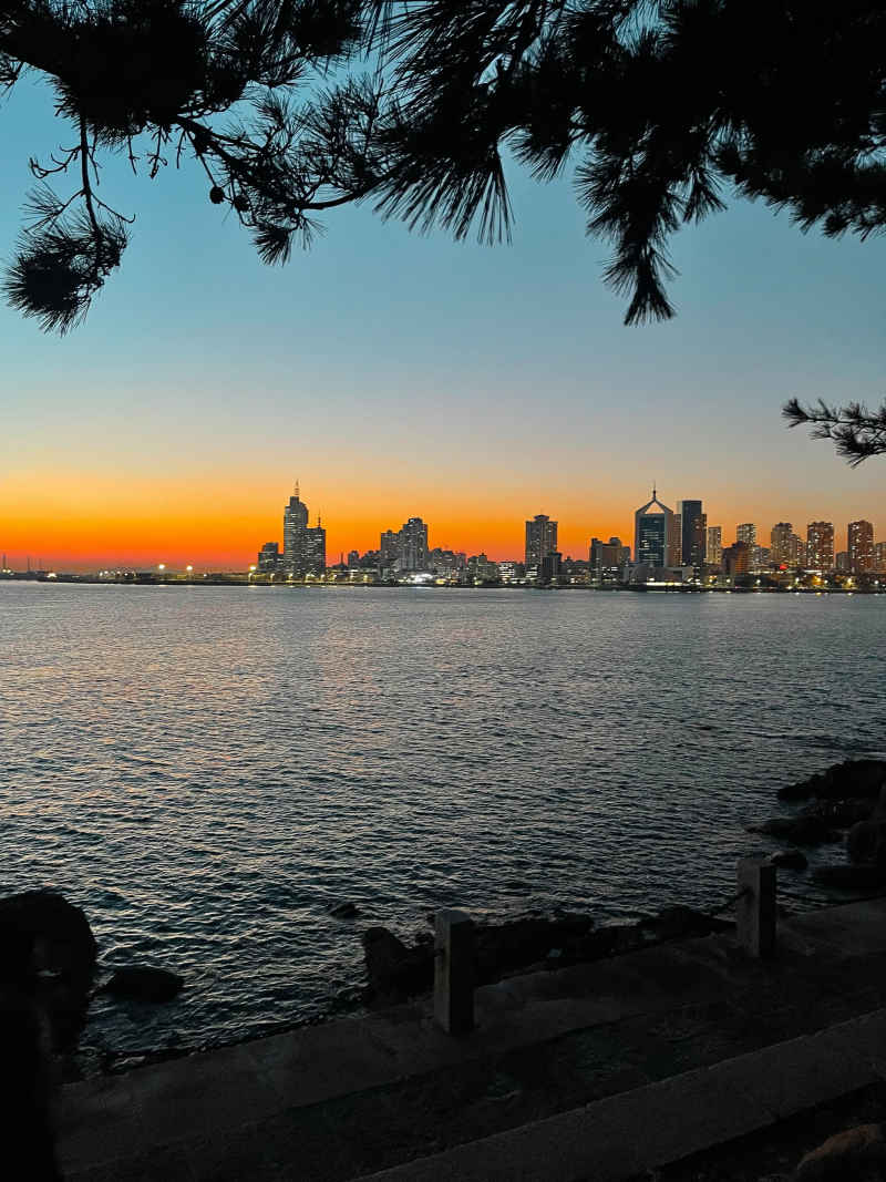 青岛小青岛公园海边城市夜景
