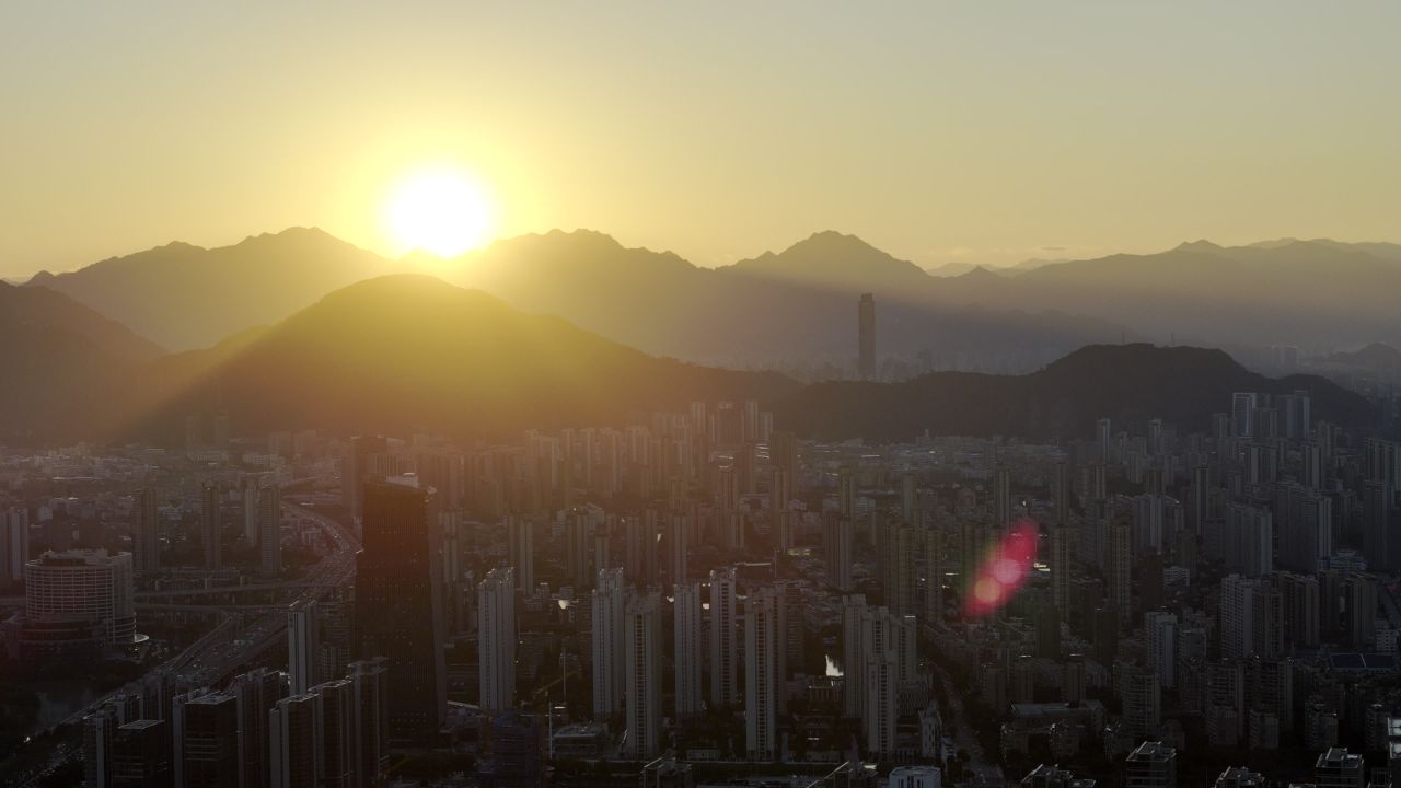 温州三垟湿地风光 41