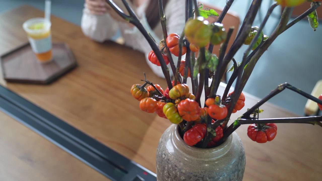 一组国风格调的文创茶咖空间空镜 17