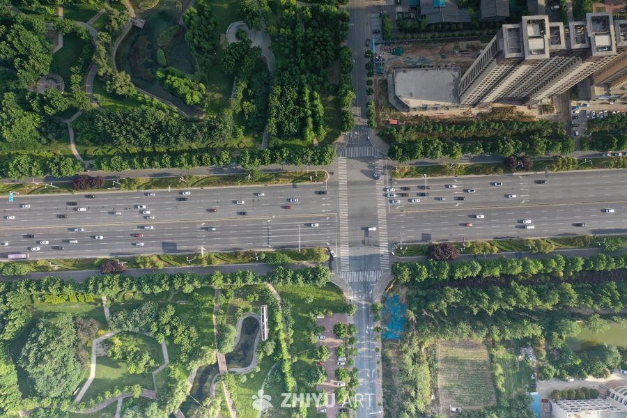 城市绿意与车流交织
