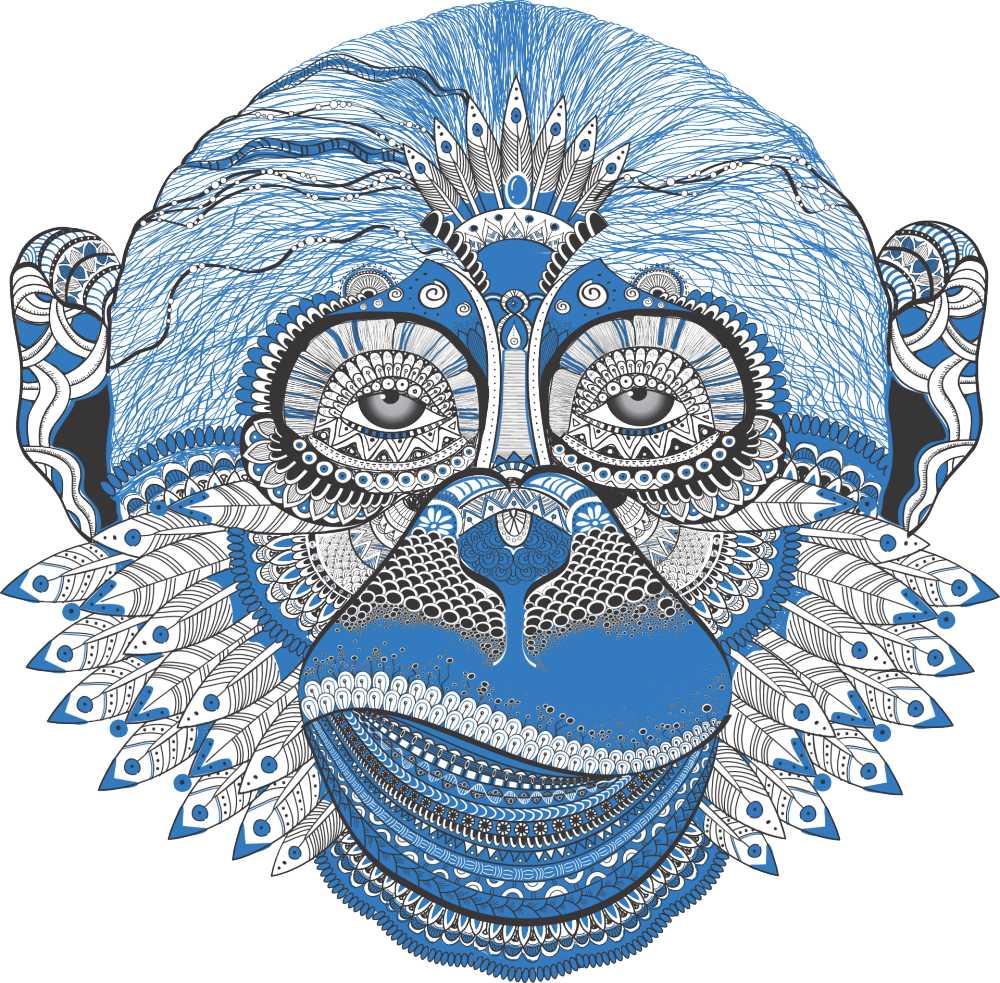 猴子脸羽毛饰品动物蓝色