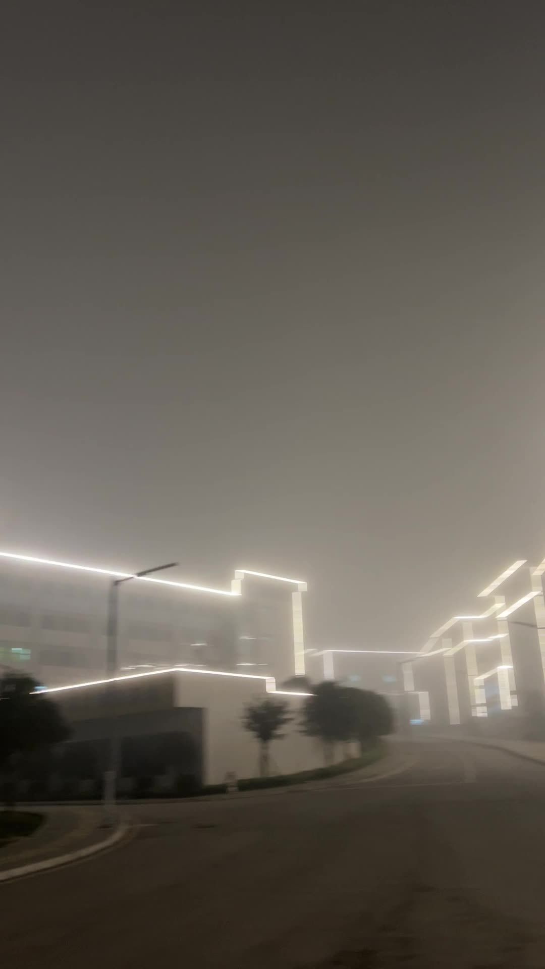 雾中校园 2