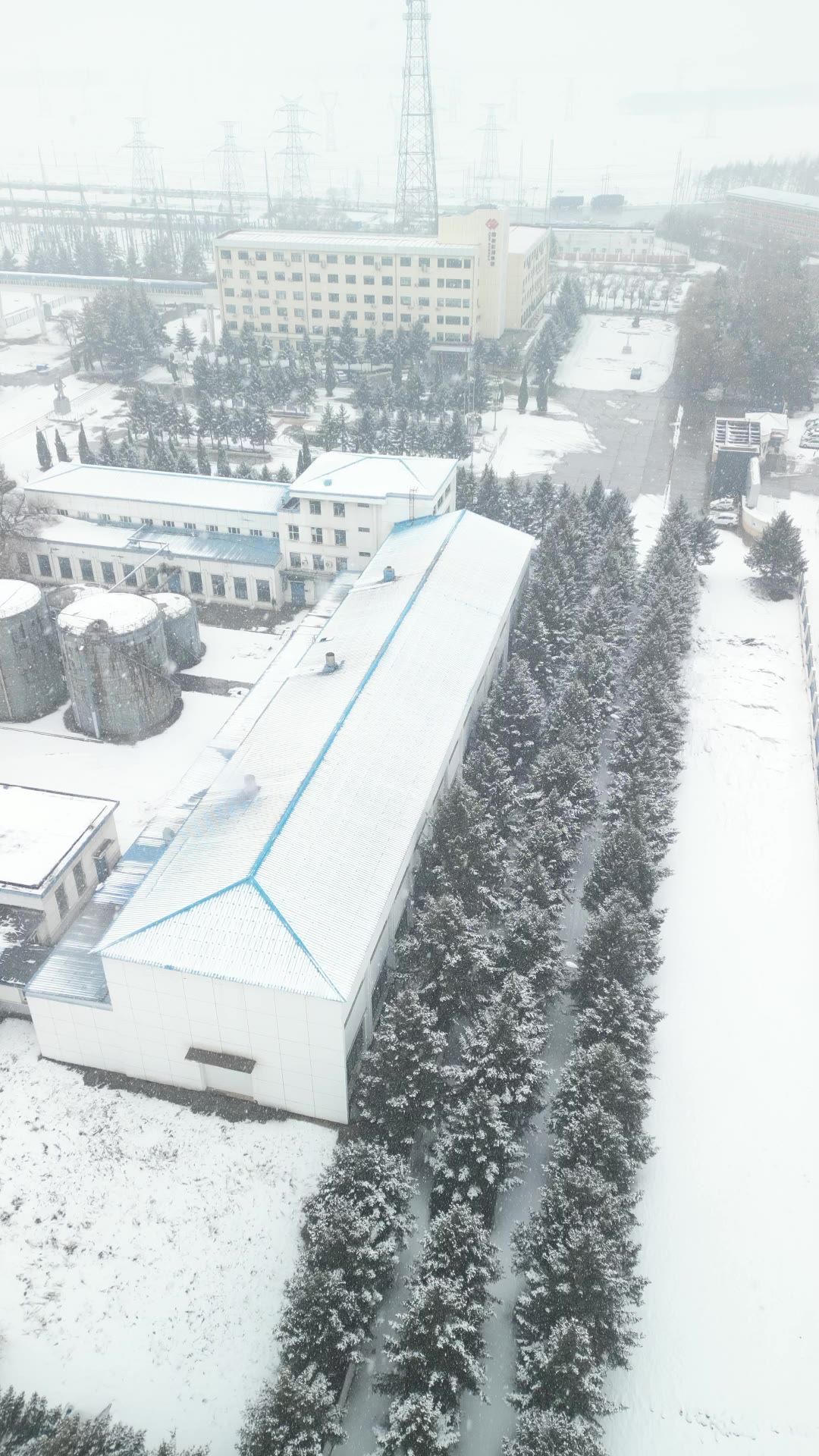 航拍 下雪 雪景 竖屏素材 1