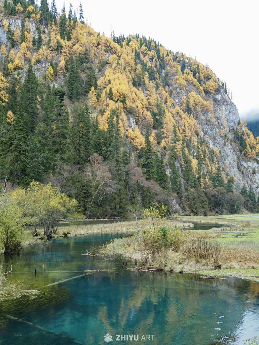 川西九寨/毕棚沟/四姑娘山 9