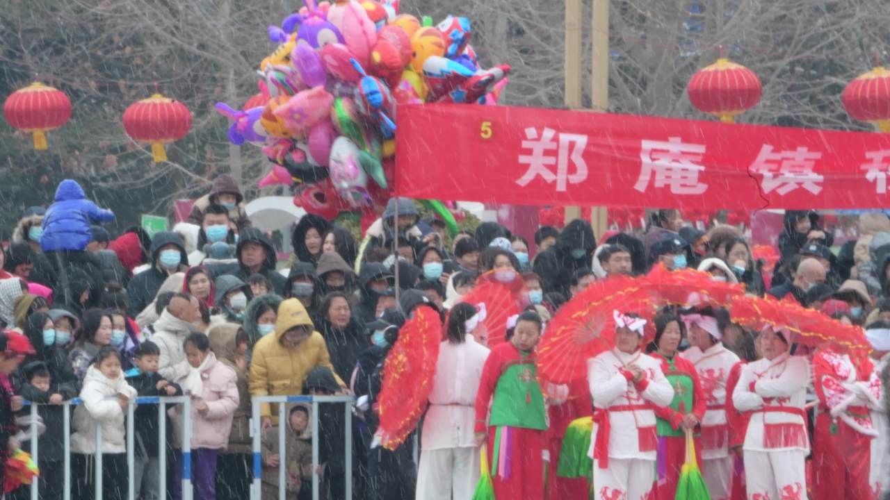 雪中龙舞庆新春