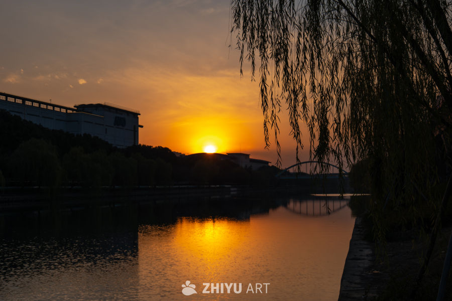 黄昏河畔柳树映日落