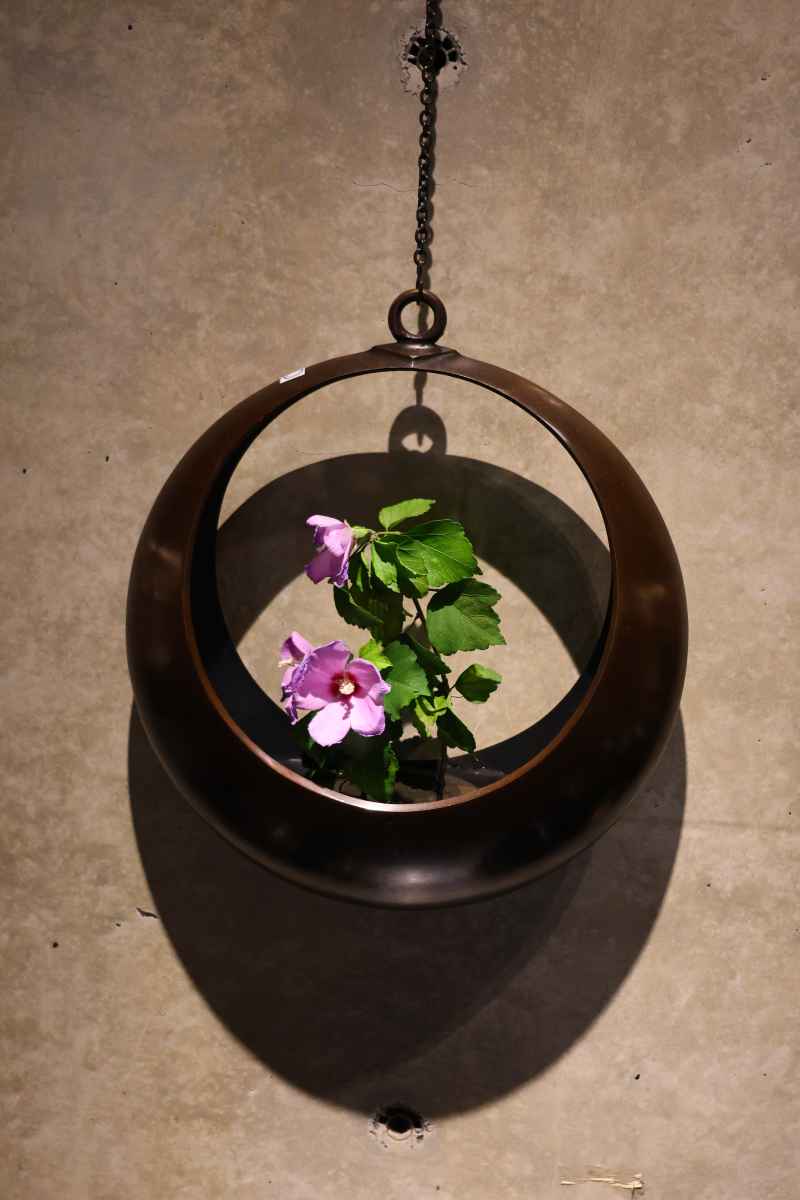 罐上花开