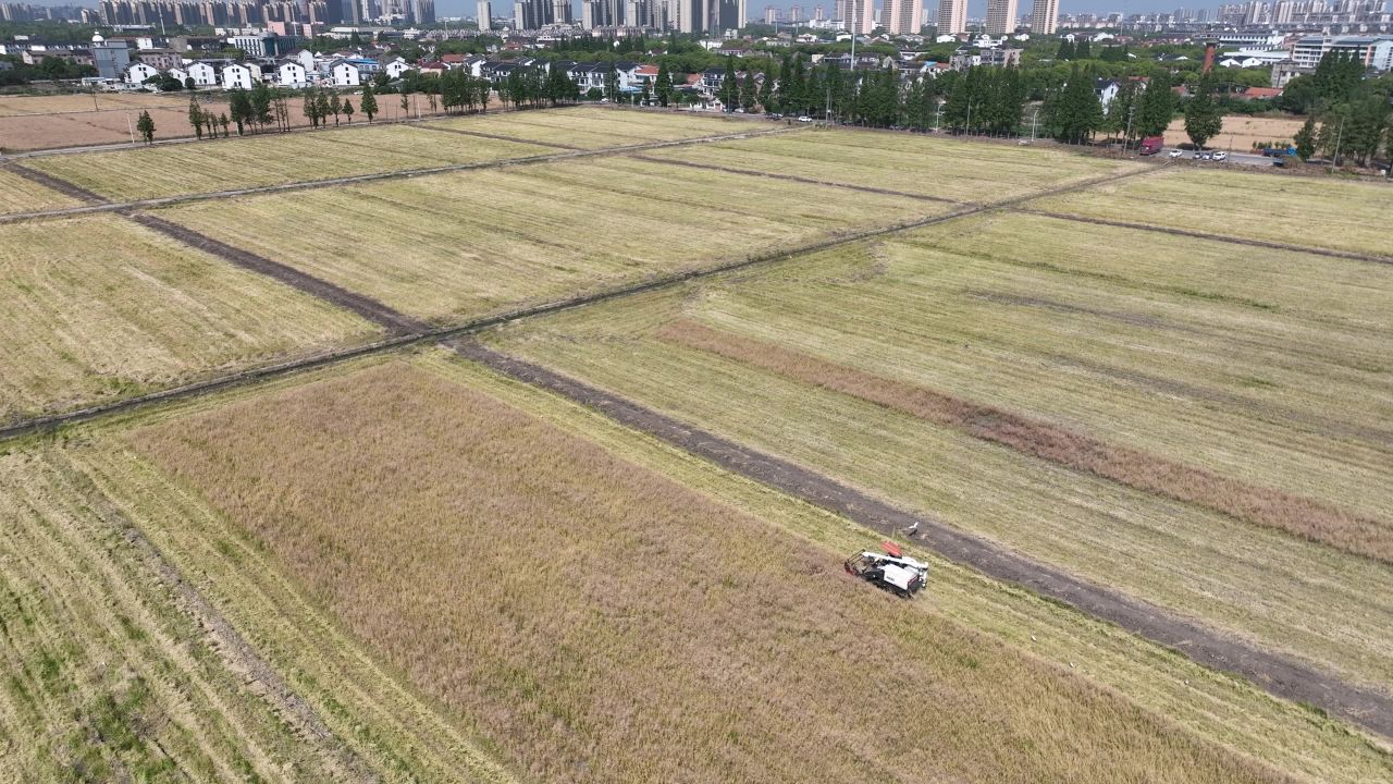 4K航拍昆山农业夏收 11