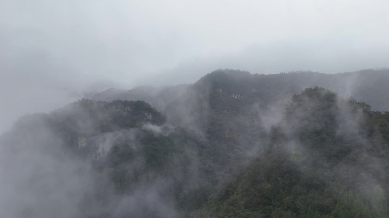 云雾缭绕的高山森林