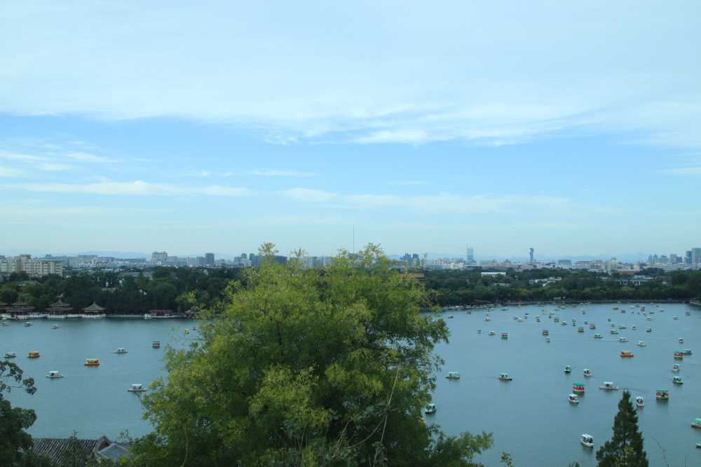 风景