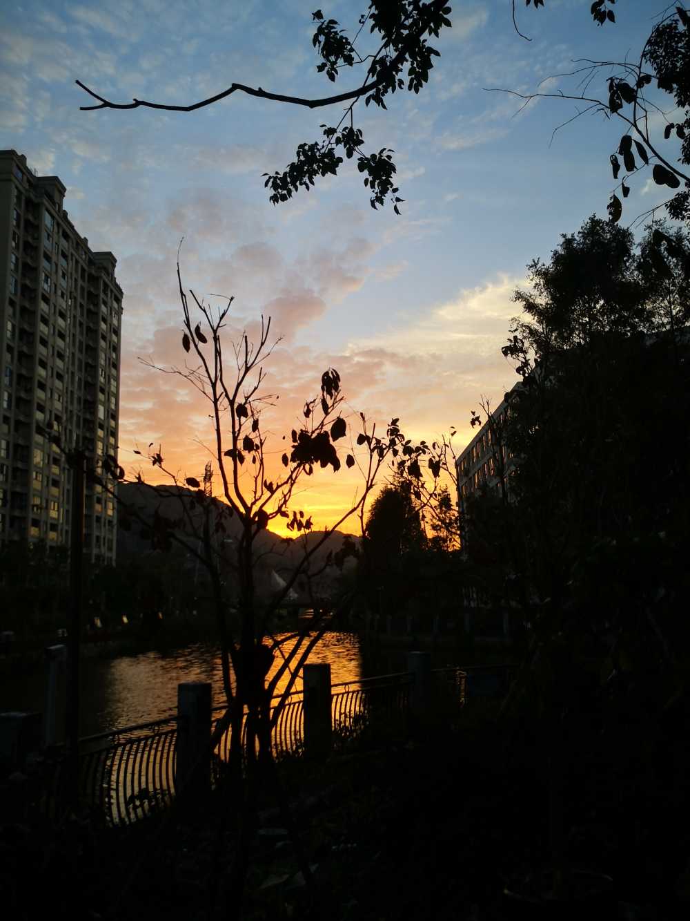 校园夕阳