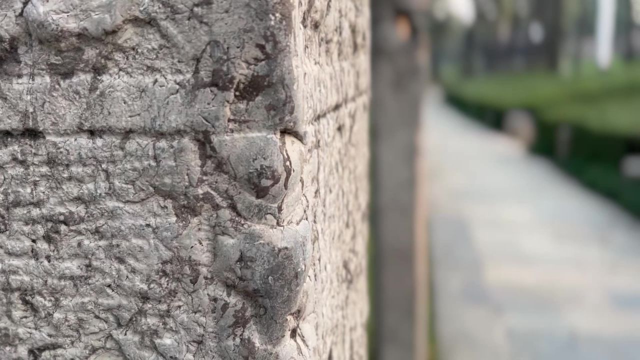 公园