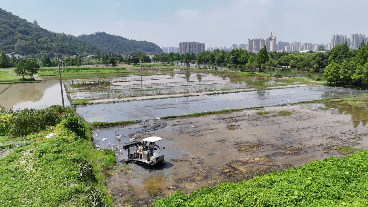 水田上的农耕生活