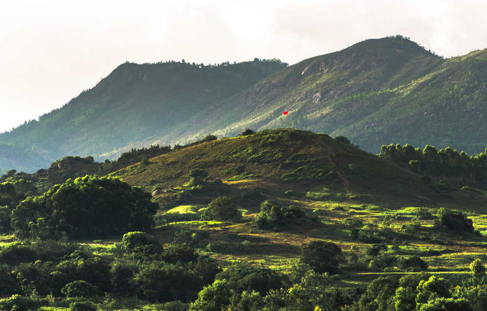 风景