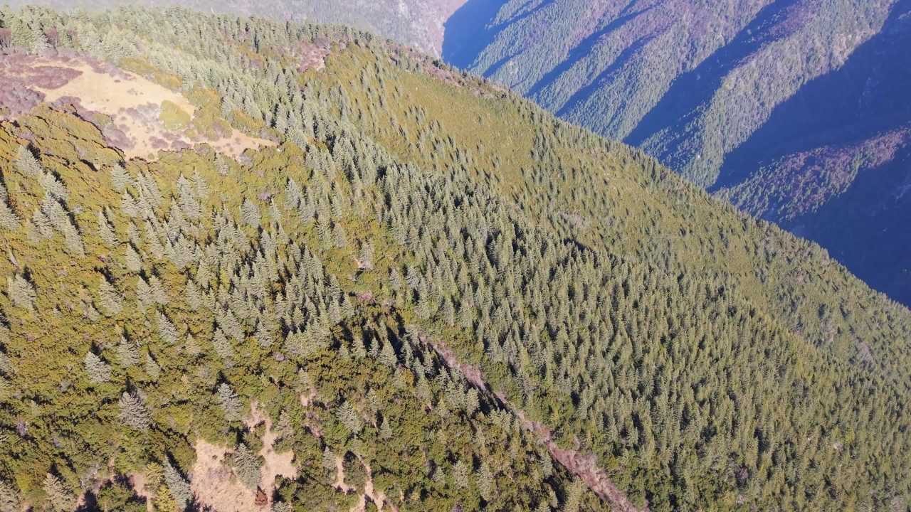 理县猛古雪山 12