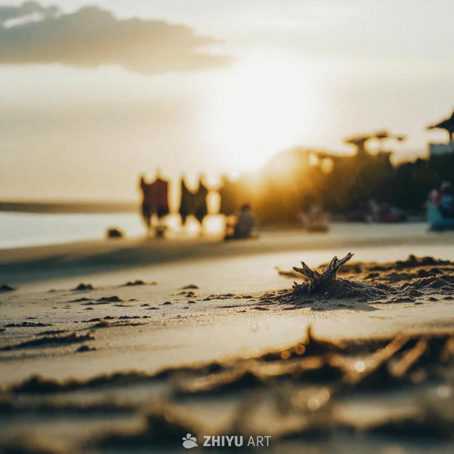 海滩上，太阳的光芒在天空中闪耀，呈现出美丽的日落景