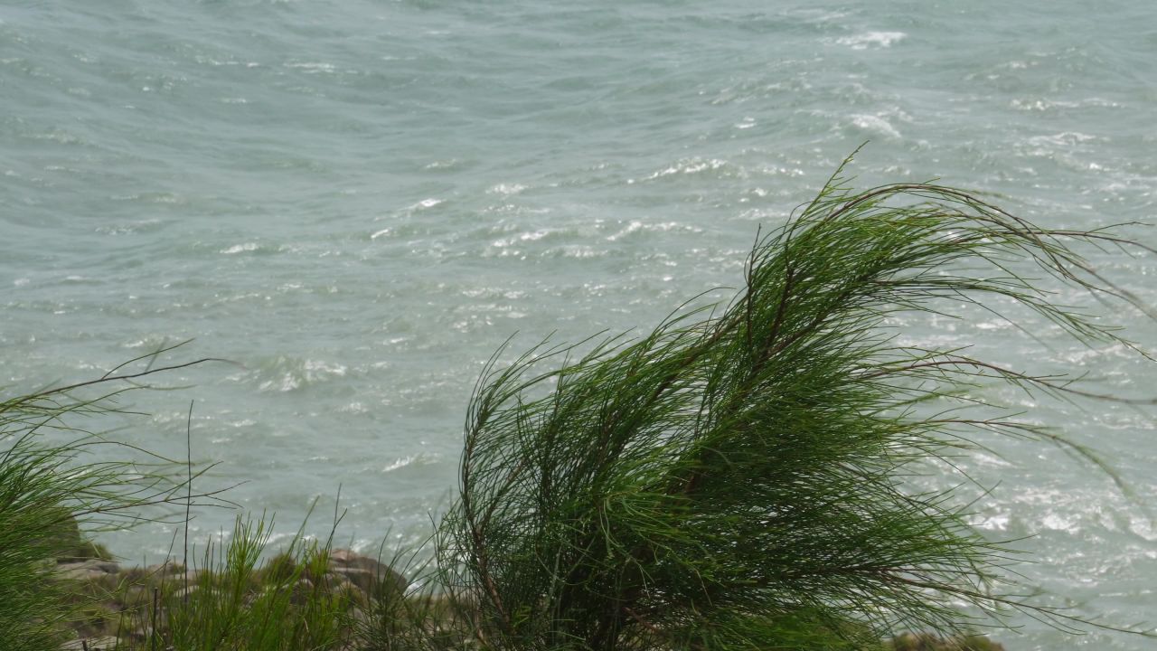 海风吹