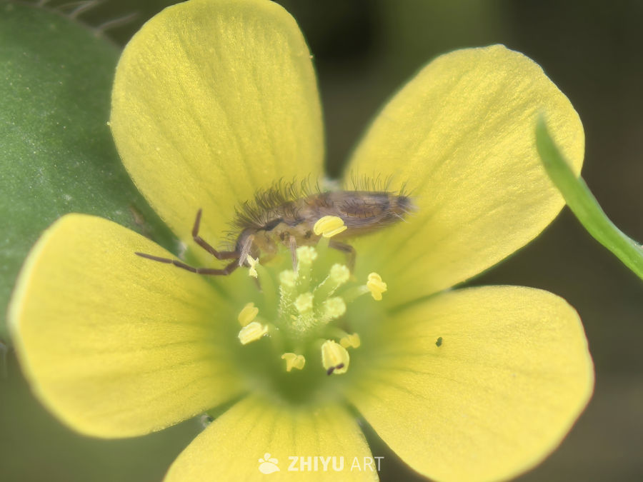 我的世界大于这世界