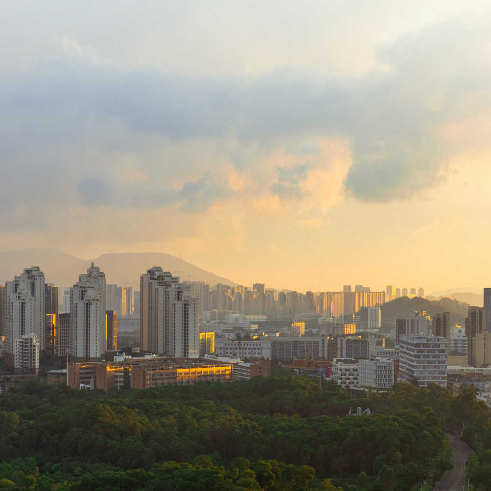 金色都市