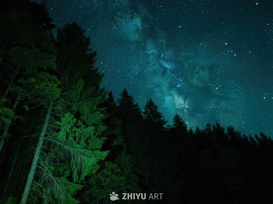 夜空下的森林与银河 325