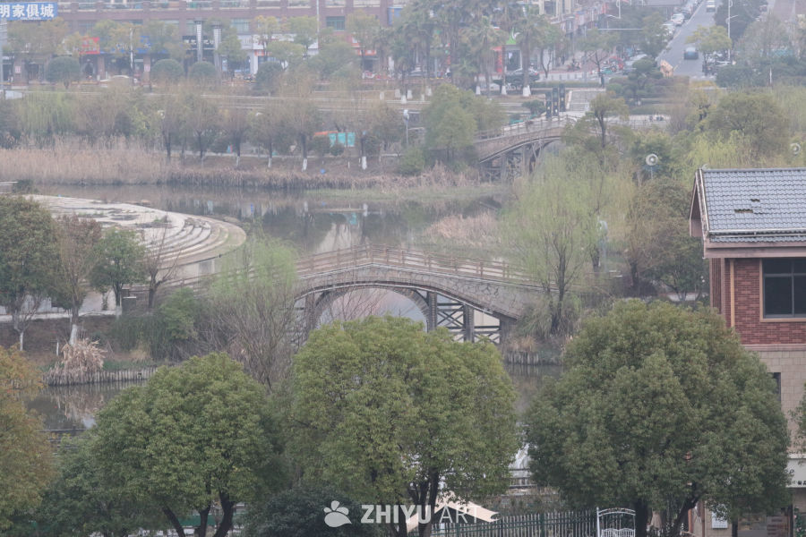 湖畔桥景：城市中的自然绿洲