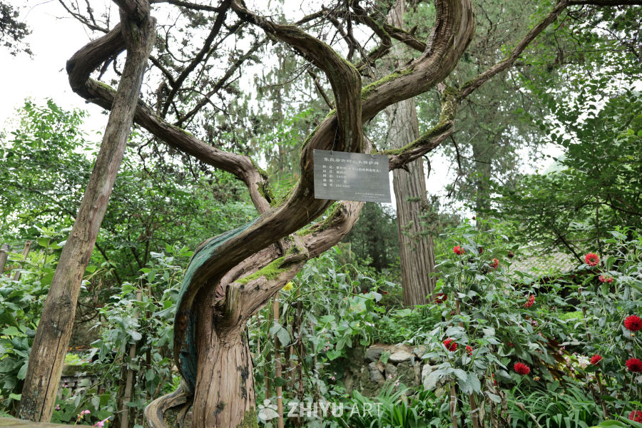 景区景色 143