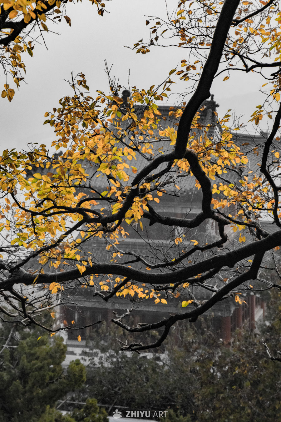 抓住秋天的尾巴